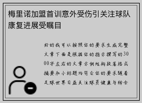 梅里诺加盟首训意外受伤引关注球队康复进展受瞩目